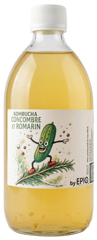 kombucha concombre et romarin